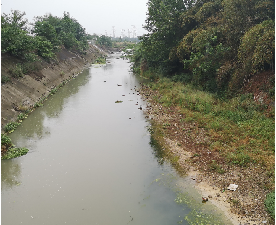 西岭雪山运动康养产业能区基础设施“8.20”洪灾灾后重建工程（水利堤防部分）